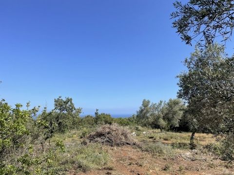 Nikiforos Fokas, Prines, Terreno in vendita, 5.798 mq, Vista: Vista mare, Caratteristiche: Da realizzare, Con permesso di costruire, Piano, Distanza da: Aeroporto (m): 89000, Mare (m): 4000, Città (m): 8000, Paese (m): 300, Prezzo: 200.000€. Kreta Ei...