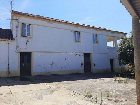 Esta quintinha situada em Mouriscas, Abrantes, é uma oportunidade incrível para quem procura um estilo de vida tranquilo no campo, a poucos minutos da cidade. Com uma generosa área de terreno de 19.060 m², a propriedade é perfeita tanto para residênc...