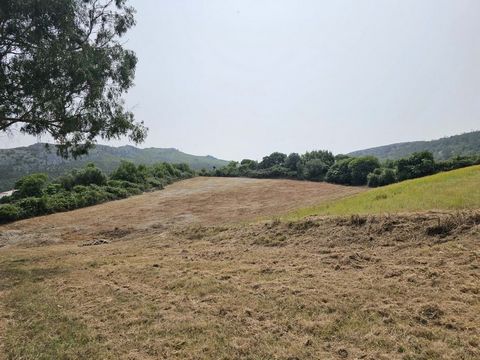 Terreno com 22.000m2 com PIP aprovado para Empreendimento Turístico e outro PIP para uma moradia T4, podendo utilizar um ou o outro, havendo ainda possibilidade de construir mais habitações. Fica situado em Pragança e tem uma vista deslumbrante para ...