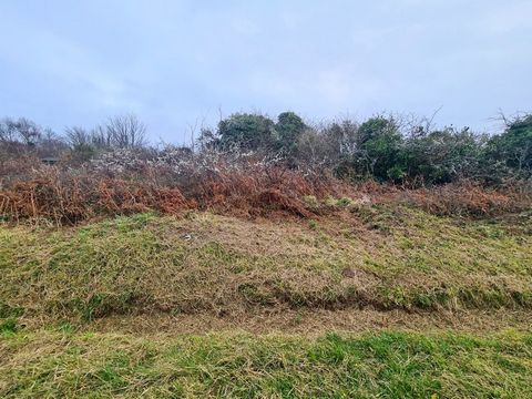 CROZON, secteur Montourgard, idéalement situé à proximité des commerces, plage de Morgat et Bois du Kador, Venez découvrir ce terrain de 1862m² environ en friche et arboré, en zone naturelle sensible (ne peut être bâti). Non viabilisé, ni électricité...