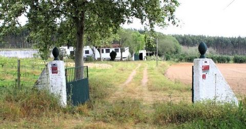 Apresentamos a Quinta Vale do Tojo, uma propriedade de charme localizada em Vila Ficaia, na freguesia do Ramalhal, concelho de Torres Vedras. Situada em uma zona reservada, a quinta oferece o sossego e a tranquilidade do campo, sendo ideal para quem ...