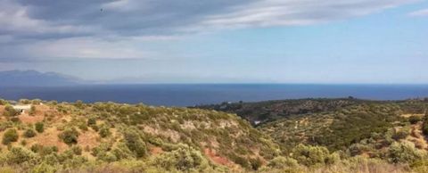 A vendre un terrain de 8 237 m².m. dans la colonie de Livadakia avec une vue fantastique sur Koroni et la mer Ionienne. 4 km de Koroni, 50 km de Kalamata et 45 km de l’aéroport de Kalamata. Il est constructible, avec une construction maximale de 283 ...