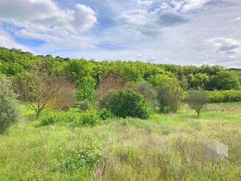 LARNAS, à 7 minutes du centre de saint montan, sur la commune de Larnas, Terrain viabilisé d'environ 1 900 m2, tout à l'égout. Idéalement situé, hors lotissement dans un environnement campagne, au milieu des lavandes...Réf 31491.3 Prix 74 500 Euros C...