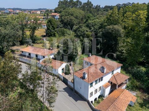 Quinta dos Moinhos Velhos, ist ein sehr altes Anwesen mit etwa sieben Hektar, das der Familie Corte-Real gehört und sich noch im Besitz eines Nachfahren befindet, der seinen Ursprung in der Nutzung des Wassers aus dem Fluss Gonde hat, der ihn durchqu...