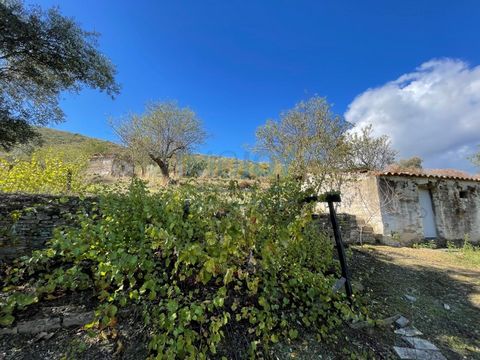 Fantastisch land in de Douro met wijngaard en fruitbomen - perfect voor landbouw- en toeristische projecten. Ontdek dit fantastische stuk grond in Aldeia Velha, in het hart van de Douro, waar traditie en natuur elkaar ontmoeten. Met unieke kenmerken ...