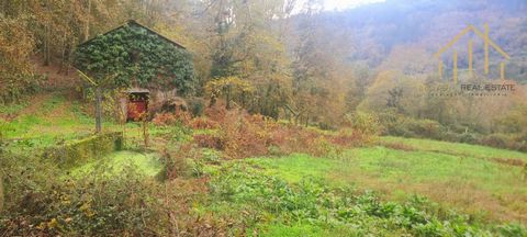 Kleiner Bauernhof von 4.300 m2 mit einem Abstellraum voller Leben. Das Lagerhaus ist 180 m2 groß und verfügt über zwei Etagen. Auf der Rückseite des Hauses befindet sich ein flaches und fruchtbares Ackerland, das von einem Tank und einer Quelle verso...