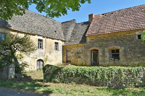 24590 ARCHIGNAC. Propriété en pierres, terrain d'environ 3461 m². Prix de vente : 275 500 euros (Honoraires : 3.99% TTC inclus charge acquéreur soit 260 000 euros hors honoraires). Situé dans le Périgord Noir, proche de Sarlat et Montignac Lascaux, a...