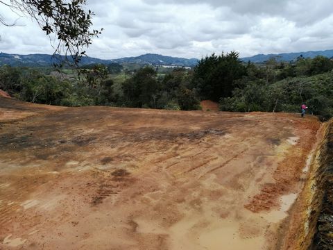 Lote independiente en venta con un área de 3.500Mts2, sector El Palmar en el municipio de Guarne. Hermosa vista con reserva natural y aire puro, donde podrás construir la casa de tus sueños en medio de un entorno natural. Propiedades en Venta.  Featu...