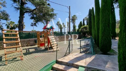 photo no. 19