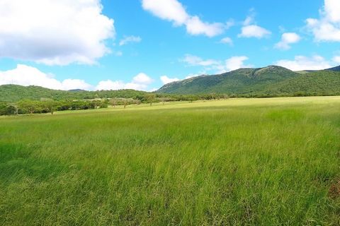 Deze buitengewone wildboerderij van 6.600 hectare biedt een zeldzame combinatie van natuurlijke schoonheid, exclusieve locatie, robuuste populaties wilde dieren en een ongelooflijk investeringspotentieel. Gelegen op slechts 15 kilometer van de Malela...