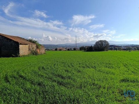 Terreno de 12.938m2 com Ruína para Venda e Projeto desenvolvido - Vila Nova de Poiares Situado na Risca Silva, zona de Quintas centenárias em Vila Nova de Poiares. Vila tranquila com excelente qualidade de vida e a 30 minutos de Coimbra. Característi...