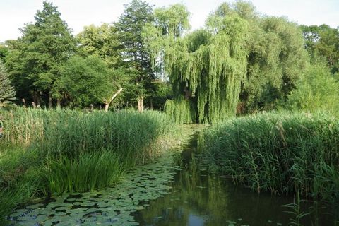 Unser Ferienhaus liegt in einem kleinen Feriendorf direkt am Glammsee in Warin, und ist freundlich, unkompliziert, familiengerecht eingerichtet und bietet standardmäßig bequem Platz für vier Personen. Auf Anfrage können im Kinderzimmer zusätzlich zwe...