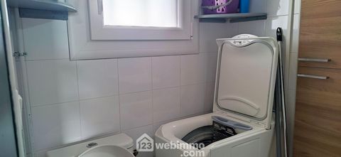 photo no. 11