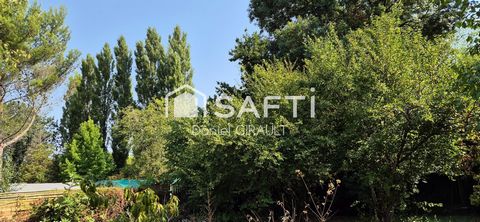 photo no. 17