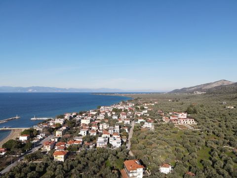 Property Code. 11734 - Plot FOR SALE in Thasos Skala Sotiros for € 200.000 . Discover the features of this 660 sq. m. Plot: Distance from sea 250 meters, Building Coefficient: 0.50 Coverage Coefficient: 0.50 facade length: 21 meters, depth: 30 meters...