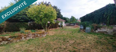 photo no. 19