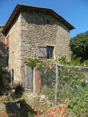 photo no. 8