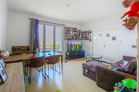 photo no. 2