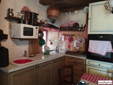 photo no. 1