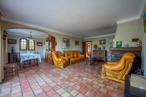 photo no. 2