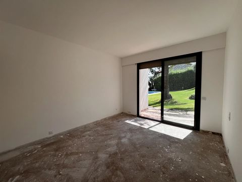 photo no. 12