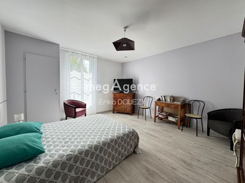 photo no. 11