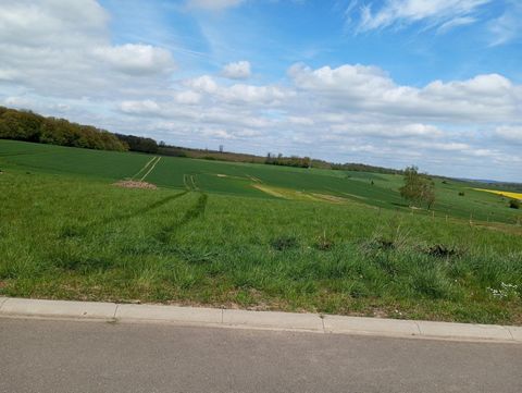 photo no. 1