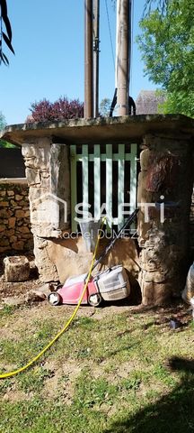 photo no. 12
