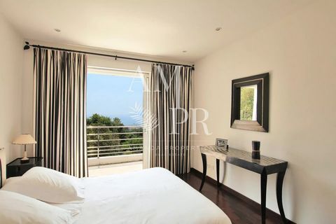 photo no. 13