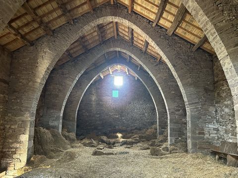 photo no. 1