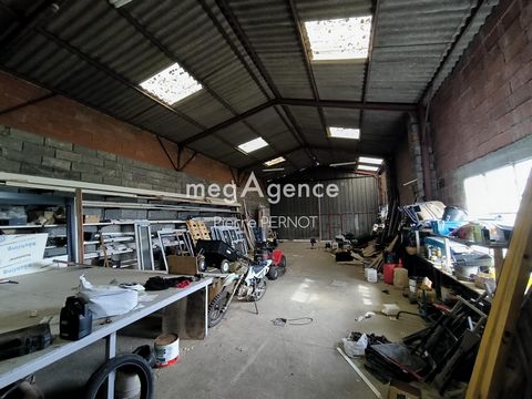 photo no. 7