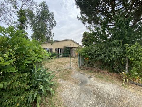photo no. 10