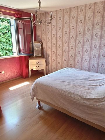 photo no. 7