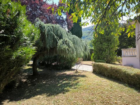 photo no. 5