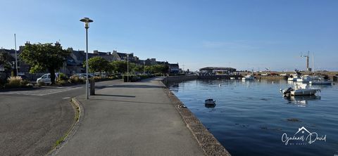 photo no. 12