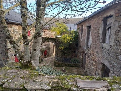 photo no. 12