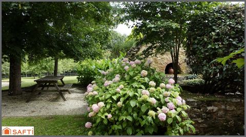 photo no. 9
