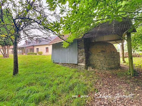photo no. 18