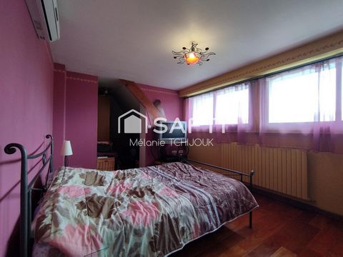 photo no. 9