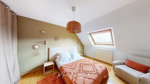 photo no. 12