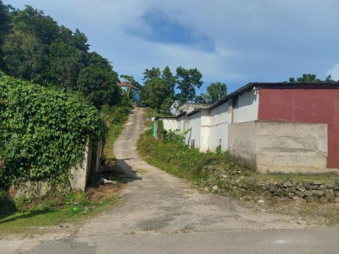 An excellent opportunity to acquire 9.56 acres of fertile land located in the established marketing community of Cruize New Market, Westmoreland. The property is naturally enriched with mature mahogany, cedar, and other trees, providing both aestheti...