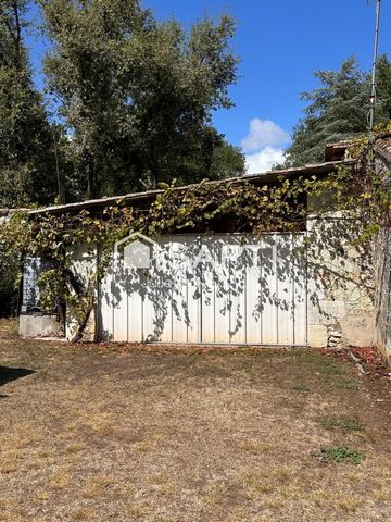 photo no. 12