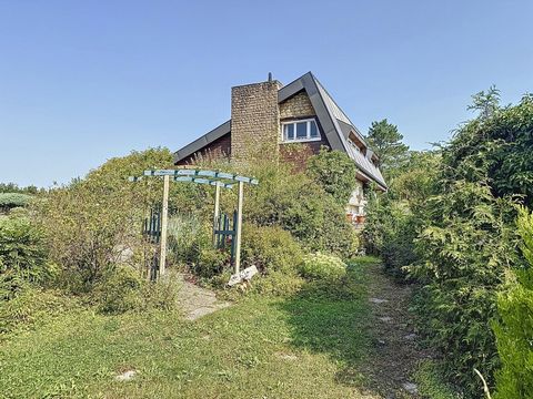 photo no. 2