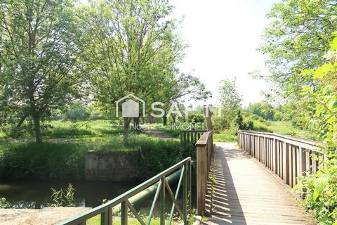 photo no. 11