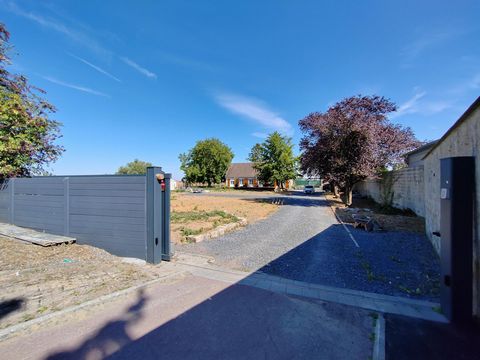 photo no. 2