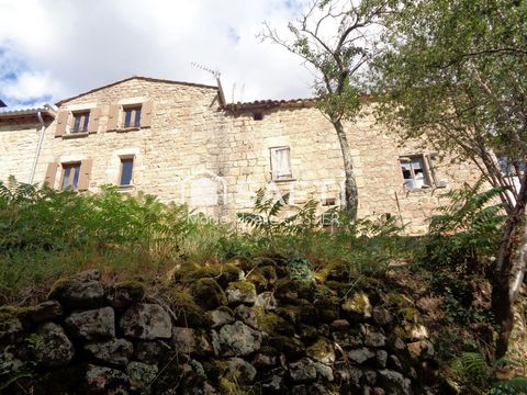 photo no. 16