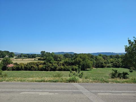 photo no. 11