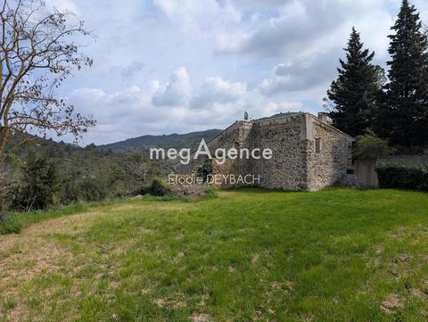 photo no. 6