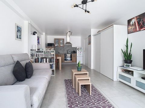 Studio 31 m²