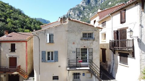 Maison T2 d'environ 40m² rénovée avec toit récent, située au coeur de la haute vallée de l'Aude.